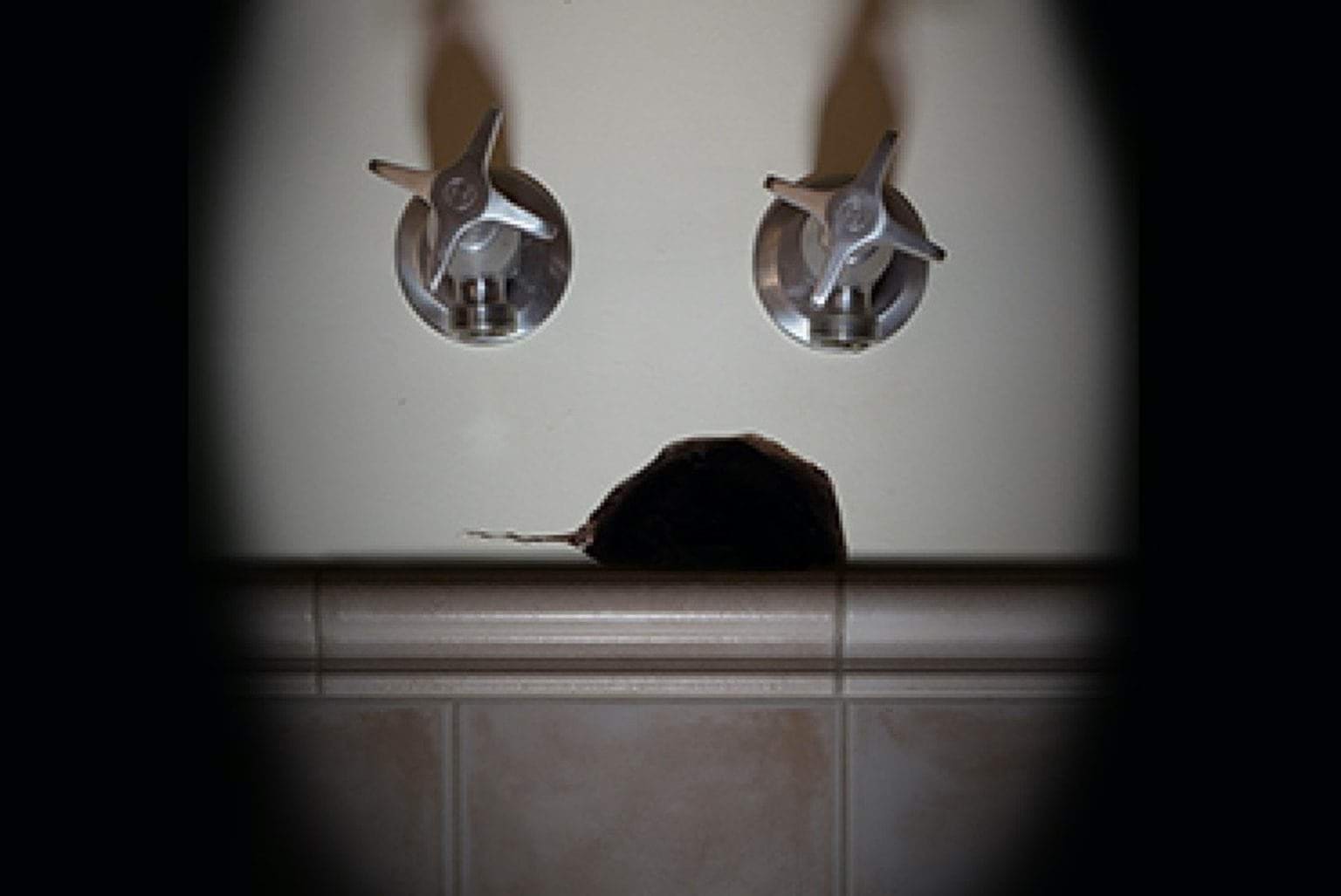 asbetos-home-taps-and-hole-in-wall asbetos-home-taps-and-hole-in-wall